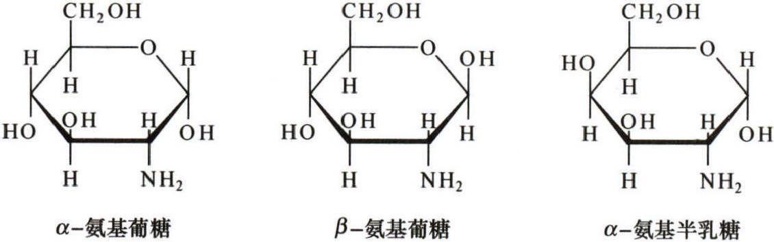 2.2 GAG的結(jié)構(gòu)特征<sup>[5-9]</sup>